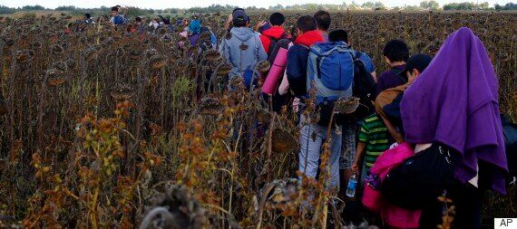 독일, 난민 폭증에 국경통제