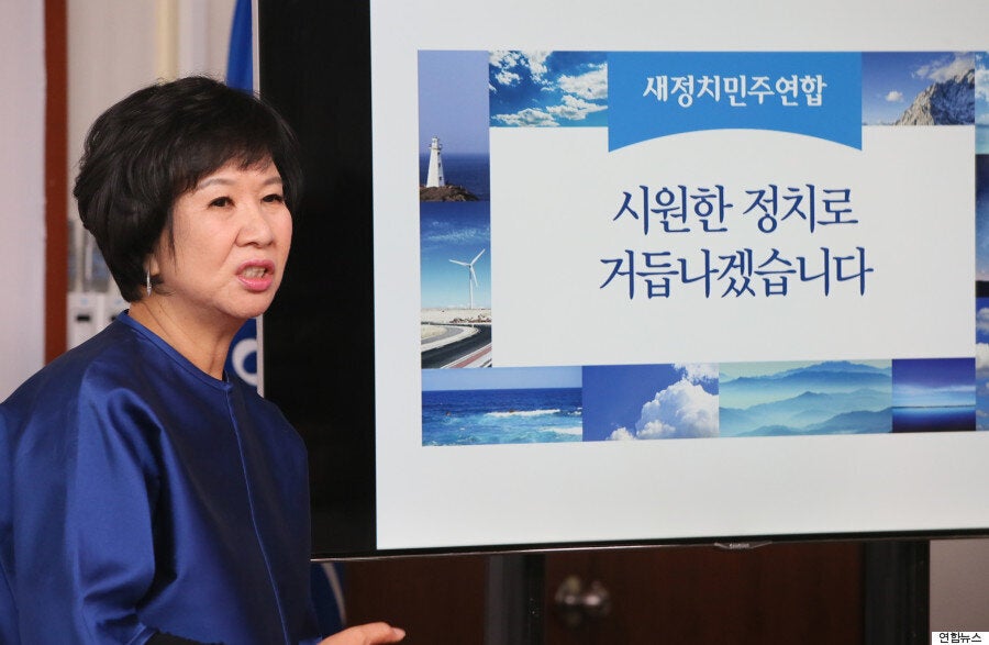 [허핑턴포스트코리아 인터뷰] 손혜원은 새정치민주연합을 완전히 리폼하고