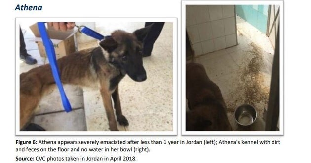 
Office of Inspector General/United States Department of State