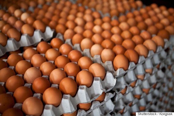 왜 한국에서는 흰색 달걀이 사라지고 갈색 달걀이