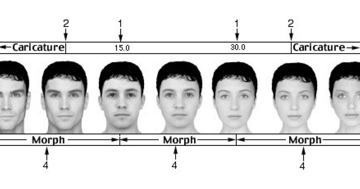 Face scale. Attractiveness Scale мужской. Шкала всратости. Attractiveness Scale мужчина. Кавказское строение лица.