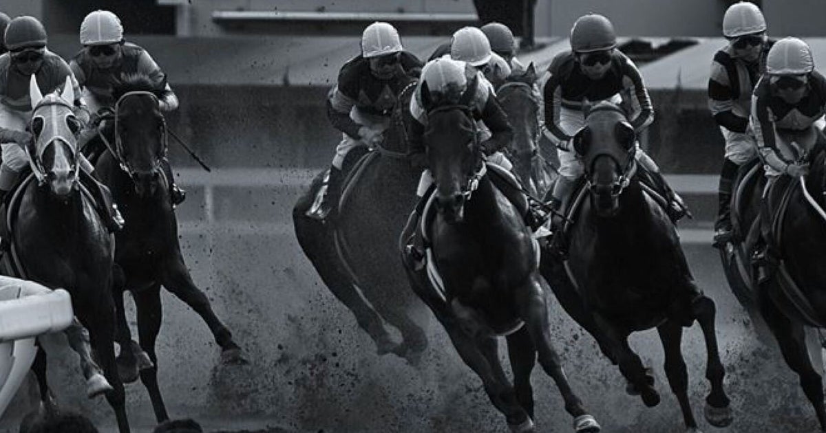 Life is not a race | 허프포스트코리아