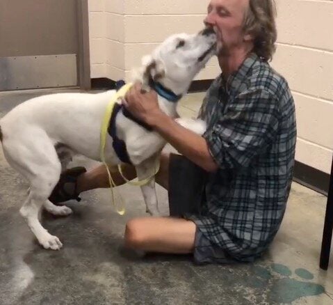 ホームレス男性 迷子の愛犬を探す 再会で犬の喜びが爆発 動画 ハフポスト ホームレス男性 迷子の愛犬を探す 再会で犬の喜びが爆発 動画 ハフポスト
