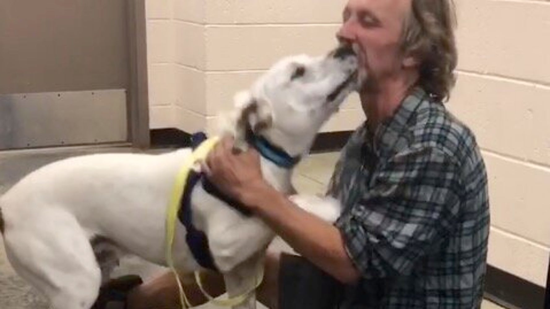 ホームレス男性 迷子の愛犬を探す 再会で犬の喜びが爆発 動画 ハフポスト