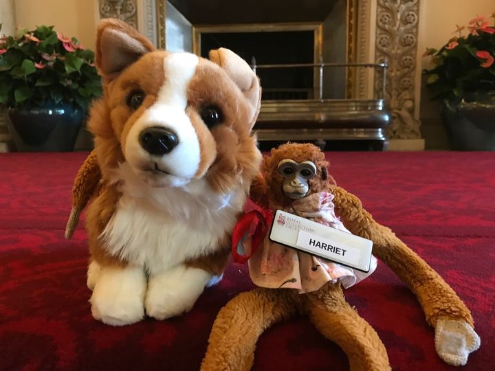 Harriet arrived back home with a new friend, a stuffed corgi from the palace gift shop.