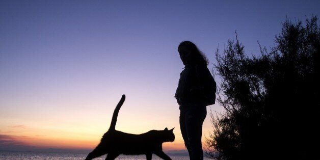 ATHENS, GREECE - OCTOBER 22: A cat passes by a woman during sunset on an autumn day at Glyfada beach of Athens, Greece on October 22, 2017. (Photo by Ayhan Mehmet/Anadolu Agency/Getty Images)