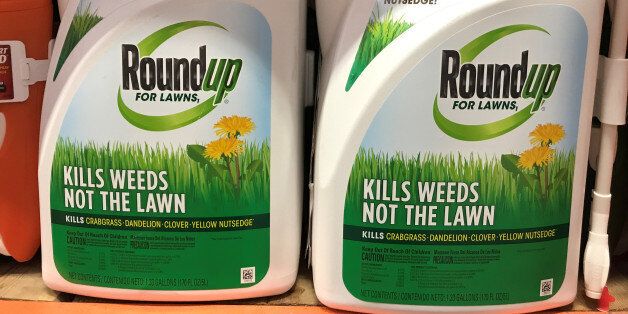 Monsanto Coâs âRoundup For Lawnsâ is shown for sale in Encinitas, California, U.S., June 26, 2017. The product photographed does not contain glyphosate. REUTERS/Mike Blake