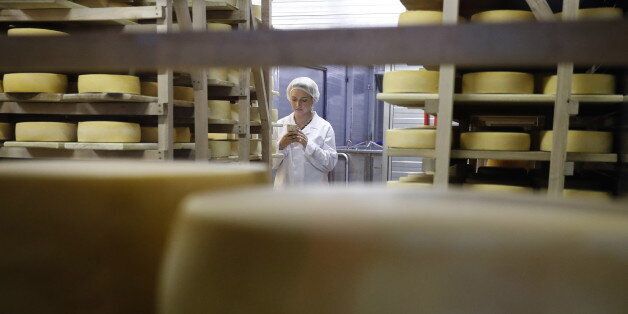 MOSCOW REGION, RUSSIA - AUGUST 4, 2017: Cheese at the Russky Parmezan [Russian Parmesan] private cheese factory as part of a cheese festival titled 'Three Years of Sanctions' in the village of Dubrovskoye, Istra District. Artyom Geodakyan/TASS (Photo by Artyom Geodakyan\TASS via Getty Images)