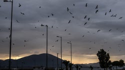 Ο μεσογειακός κυκλώνας «Ζήνων» διαδέχεται την «Ευρυδίκη»: Συνεχίζεται η