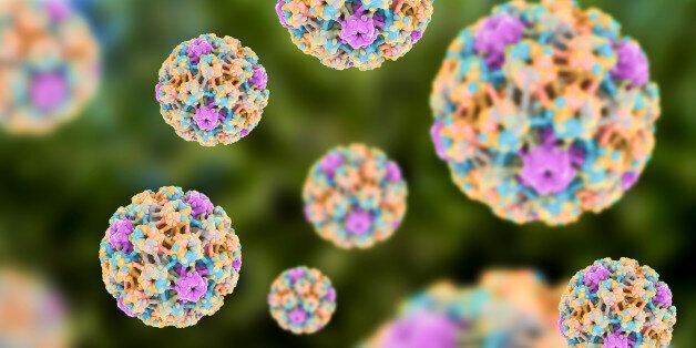 Human papillomaviruses on colorful background, a virus which causes warts located mainly on hands and feet. Some strains infect genitals and can cause cervical cancer. 3D illustration