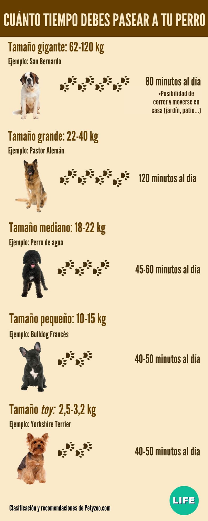 Tiempo de paseo diario (total de los tres paseos) por tamaño.