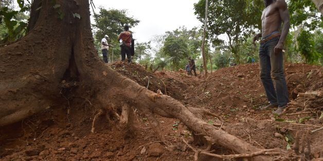 A gold digger stands near a tree in the forest of Bore village near Dimbokro, central Ivory Coast on August 15, 2016 as authorities are concerned by illegal gold mining. / AFP / ISSOUF SANOGO (Photo credit should read ISSOUF SANOGO/AFP/Getty Images)