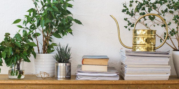 Houseplants, books, pile of journals and watering can arranged on the wooden shelf