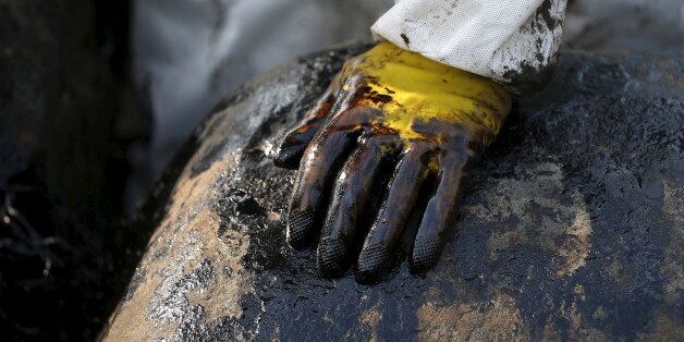 A worker's gloved hand is seen covered with oil during a clean-up operation after oil leaked from a cargo ship owned by TS Lines Co, off the shores of New Taipei City, Taiwan, March 26, 2016. The oil spilled from the ship has contaminated 2 kilometer (1.24 miles) of water, according to local media. REUTERS/Tyrone Siu