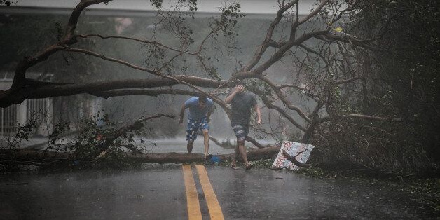 MIAMI, FL - SEPTEMBER 10: Two men walk through a downed tree as Hurricane Irma's full force strikes in Miami, Fla., on Sept. 10, 2017. (Photo by Marcus Yam/Los Angeles Times via Getty Images)