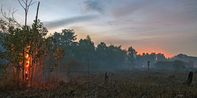 A freshly scorched landscape is seen in the early afternoon hours of Augustus 30, 2017 at the Pekanbaru, Riau Provinsi, Indonesia (Photo by Afrianto Silalahi/NurPhoto via Getty Images)