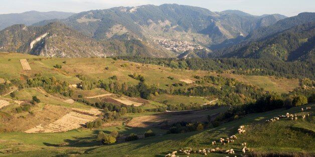 BULGARIA - MAY 05: Sheep grazing, Rhodopes mountains, southern Bulgaria. (Photo by DeAgostini/Getty Images)