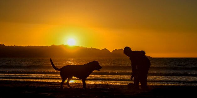 A boy plays with his dog at sunset in La Serena, about 450 km north of Santiago, on September 3, 2017. Chile will host the 4th International Marine Protected Areas Congress, IMPAC 4, in La Serena, Coquimbo, September 4-8, 2017. / AFP PHOTO / MARTIN BERNETTI (Photo credit should read MARTIN BERNETTI/AFP/Getty Images)