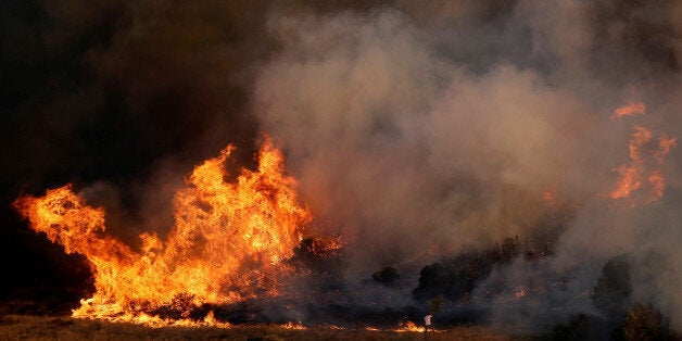 A local tries to extinguish a fire with a tree branch as a wildfire burns in the area of Kalyvia, near Athens, Greece July 31, 2017. REUTERS/Alkis Konstantinidis