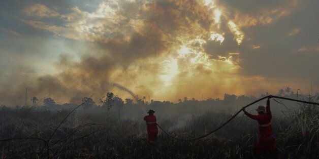 Firefighters try to extinguish a bush fire in Ogan Ilir regency, South Sumatra, Indonesia August 4, 2017 in this photo taken by Antara Foto. Picture taken August 4, 2017. Antara Foto/Nova Wahyudi/ via REUTERS ATTENTION EDITORS - THIS IMAGE WAS PROVIDED BY A THIRD PARTY. MANDATORY CREDIT. INDONESIA OUT. NO COMMERCIAL OR EDITORIAL SALES IN INDONESIA.