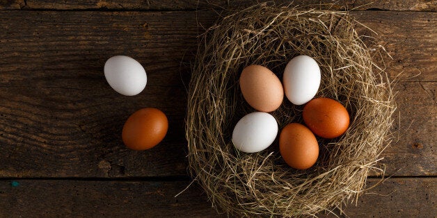 Fresh chicken eggs in a nest on a wooden rustic background