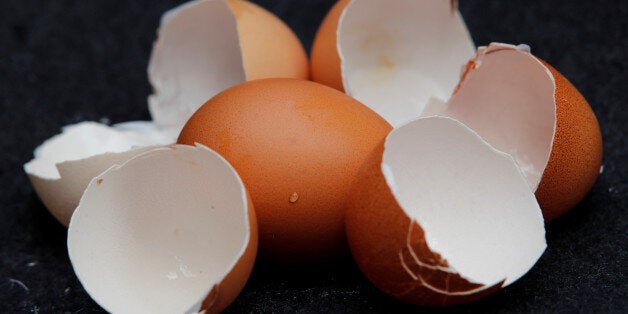 Eggs are pictured in this illustration photo in Bad Honnef, Germany, August 4, 2017. REUTERS/Wolfgang Rattay/Illustration Photo