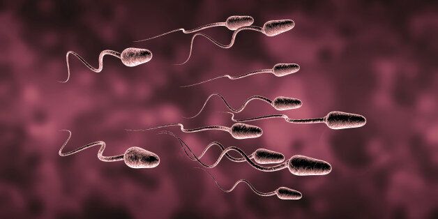 Natural insemination sperm and egg cell