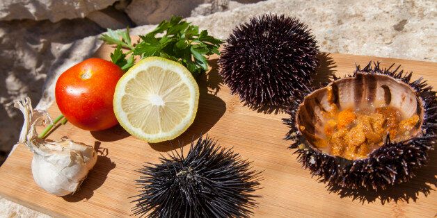 Fresh Sea Urchin served with mediterranean lemon, tomatoes, garlic, parsley, on wooden plate in stone house exterior, space for text