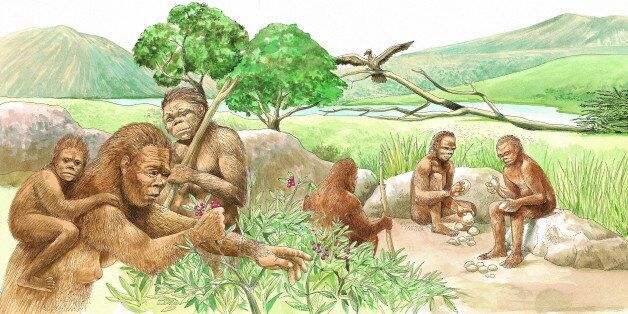 Homo habilis men chip away at rocks, sharpening them for cutting up game or scraping hides. The game would be trapped in a pit or run down by several men. A woman, with her child, gathers wild berries. Branches were collected to make shelters. (Photo by: Brown Bear/Windmil Books/UIG via Getty Images)