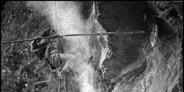 Nepal, Gurung ethnic group, Honey hunter (Photo by Bruno Morandi/Corbis via Getty Images)