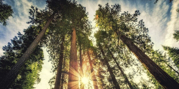 Yosemite National Park, California