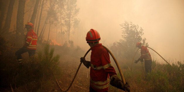 Firefighters work to put out fire during a forest fire in Capelo, near Gois, Portugal, June 21, 2017. REUTERS/Rafael Marchante