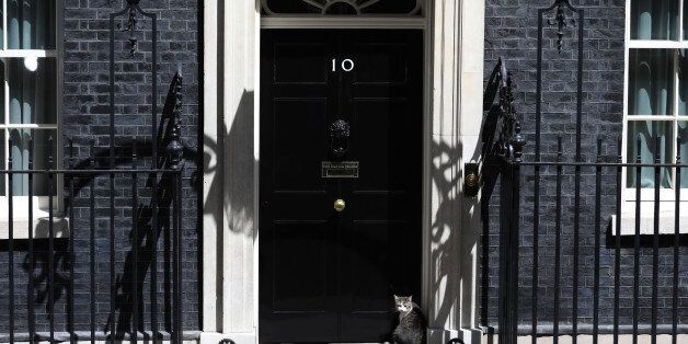 Larry, the Downing Street cat, a brown and white tabby rehomed from Battersea Dogs and Cats Home, sits outside number 10 Downing Street in London, U.K., on Tuesday, June 13, 2017. U.K. Prime MinisterÂ Theresa MayÂ bought herself a stay of execution by apologizing to her own lawmakers for the election debacle as she prepared to meet Northern Irelands Democratic Unionists to secure the votes needed to prop up her minority government. Photographer: Luke MacGregor/Bloomberg via Getty Images