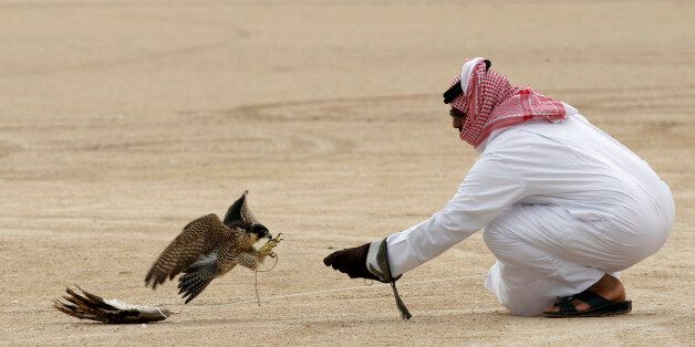 A falcon flies towards a falconer's hand during the Qatar International Falcon and Hunting festival in Dakhira, north of Doha February 6, 2010. REUTERS/Fadi Al-Assaad (QATAR - Tags: ANIMALS SOCIETY)
