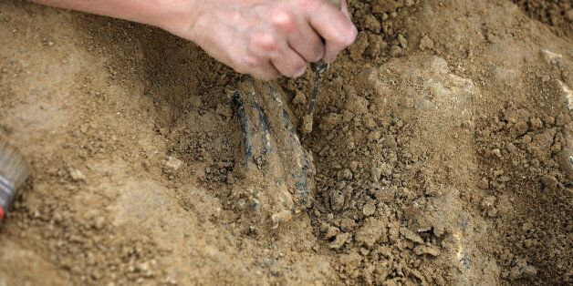 A scientist uncovers a fossil of a paw of a predator near the site where an isolated tooth of Graecopithecus freybergi was found in 2009, near the town of Chirpan, Bulgaria June 3, 2017. Picture taken June 3, 2017. REUTERS/Stoyan Nenov