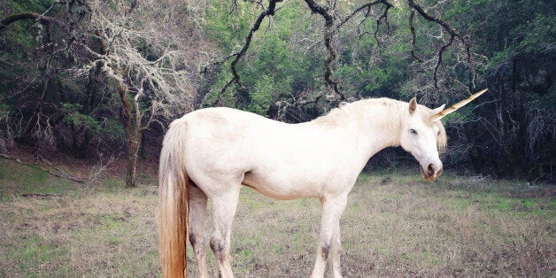 Unicorn in the forest photo realistic