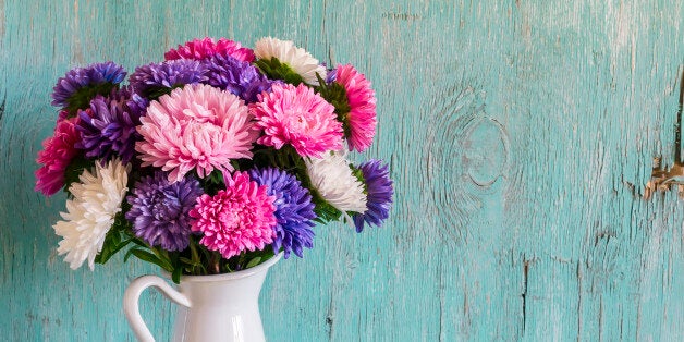 flowers asters in white enameled  pitcher on a blue wooden surface