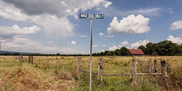 Street sign for Mad Dog Hill Lane. June 26, 2015. Bluffton Arkansas.