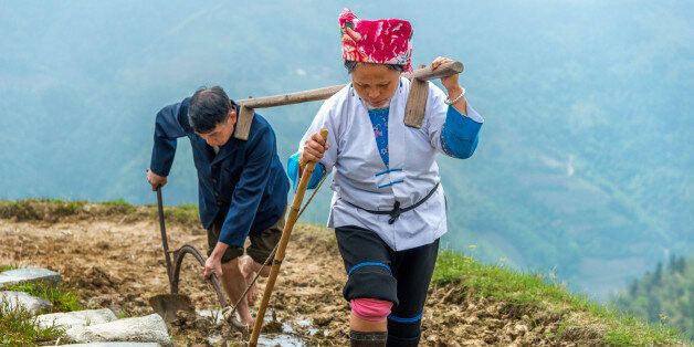 Rice farmer couple ploughing his field on in LongSheng mountains in springtime