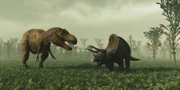 Classic prehistoric battle begins between a T-rex and Triceratops.Prehistoric accurate Horsetail carboniferous trees.