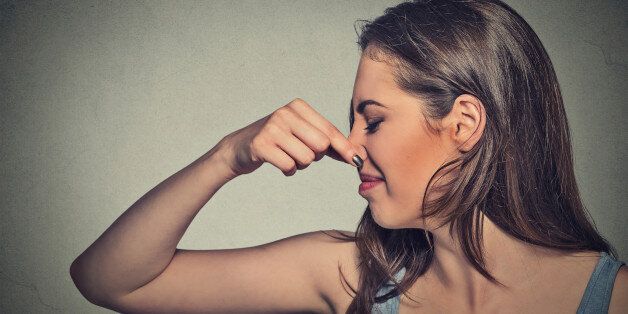 Side profile portrait headshot woman pinches nose with fingers looks with disgust away something stinks bad smell situation isolated gray wall background. Human face expression body language reaction.