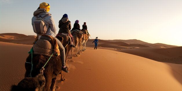 Anonymous guide leads camels with tourists riding into setting sun in Sahara desert.