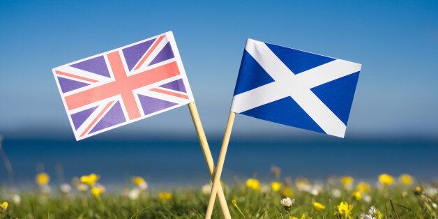 Miniature British union and Scottish Salire flags in grass on a Hebridean island.