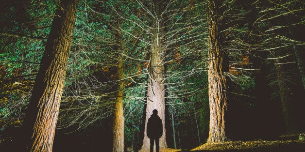 The silhouette of a young man appears in the middle of a redwood forest.