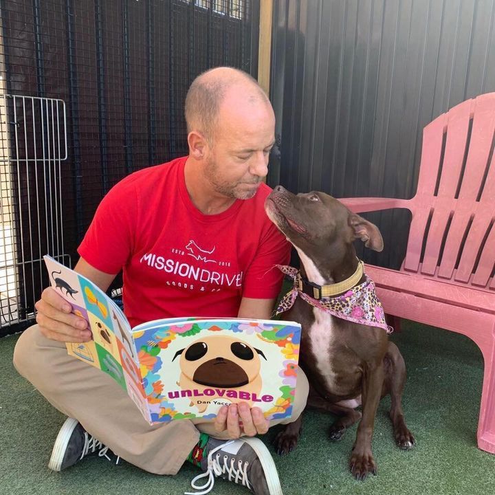 Scott Poore, a Kansas City animal advocate, has moved into his local animal shelter to help find a dog named Queen a forever home.