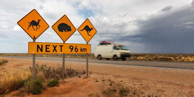 A road sign at the start of the Nullarbor for kangaroos, wombats and camels. A van goes by in the background