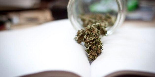 Dried cannabis buds on white blank paper of a book with a glass in the background.