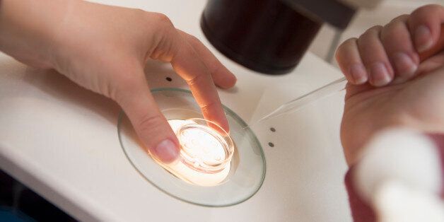 Embryologist adding sperm to egg in