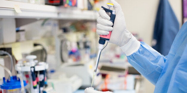 Closeup cropped portrait, scientist pipetting with hands, laboratory experiments, isolated lab background. Forensics, genetics, microbiology, biochemistry