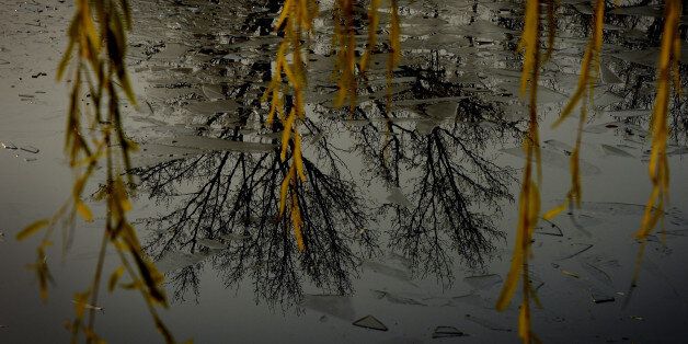 Trees are reflected on the half frozen Houhai lake as winter arrives in Beijing on November 26, 2012. A ministerial meeting under the UN Framework Convention on Climate Change (UNFCCC) kicked off in Qatar on November 26. Brazil, China, India and South Africa are urging industrialized nations to commit to deeper cuts in greenhouse gas emissions at this years meeting. AFP PHOTO/Mark RALSTON (Photo credit should read MARK RALSTON/AFP/Getty Images)